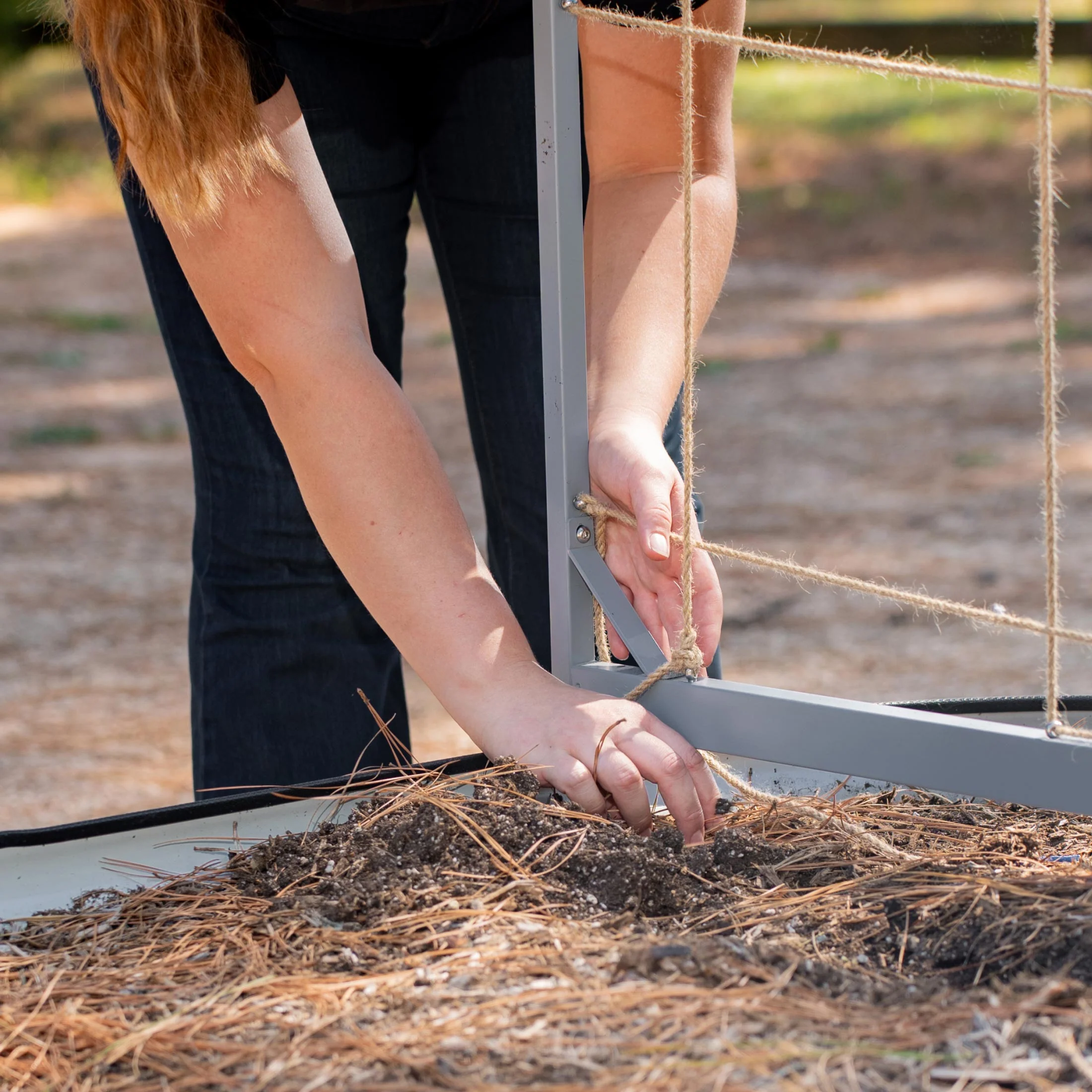 Metal Frame String Trellis - Image 3